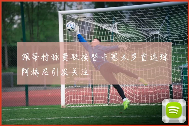 佩蒂特称曼联接替卡塞米罗首选琼阿梅尼引发关注
